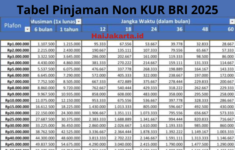 Tabel Pinjaman BRI 2025 Non KUR