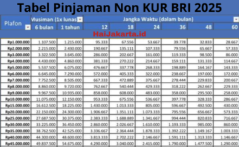 Tabel Pinjaman BRI 2025 Non KUR