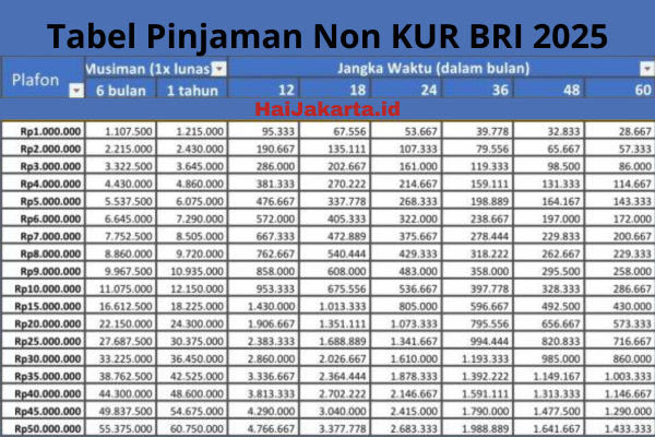 Tabel Pinjaman BRI 2025 Non KUR