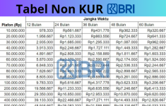 Tabel Angsuran Non KUR BRI 2025