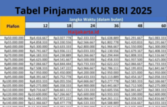 Tabel KUR BRI 2025 Pinjaman Rp100 Juta