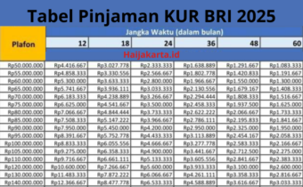 Tabel KUR BRI 2025 Pinjaman Rp100 Juta