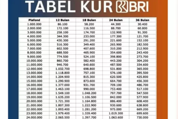 Tabel Non KUR BRI 2025