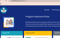 Situs Cek PIP 2025 Terbaru