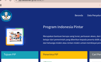 Situs Cek PIP 2025 Terbaru