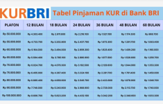 Tabel Angsuran KUR BRI 2025