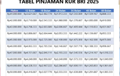 Tabel Angsuran KUR BRI 2025