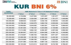 Cicilan Terendah KUR BNI