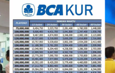 Cicilan Terendah KUR BCA