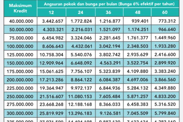 Cicilan Terendah KUR BNI