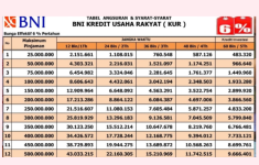 KUR BNI 2025