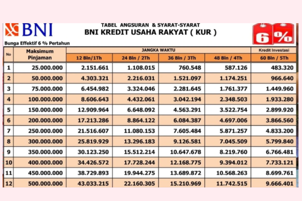 KUR BNI 2025