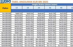 KUR BRI 2025