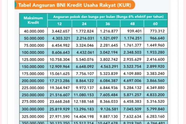 KUR BNI 2025