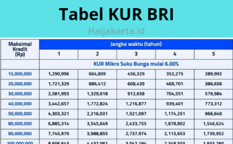 Tabel Pinjaman KUR BRI 2025