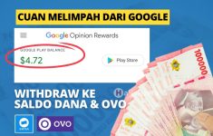 Cara Terbaru Hasilkan Dolar dari Google! Langsung Bisa Tarik ke DANA & OVO