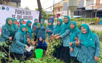 TPPKK dan Warga Rawa Buaya Petik Ubi Merah di Taman Toga RPTRA Carina Sayang