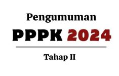 Link Resmi dan Cara Cek Pengumuman Hasil Kelulusan PPPK 2024 Tahap 2