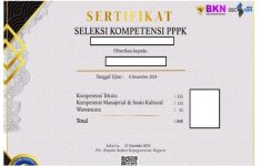 Cara Download Sertifikat Seleksi Kompetensi PPPK Tahap 2, Solusi Jitu Gagal Unduh