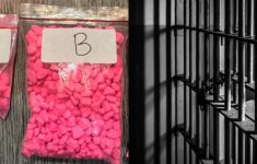 Seorang Pria Sembunyikan Narkoba dalam Makanan Anjing di Jakarta Utara, Ribuan Pil Ekstasi Disita