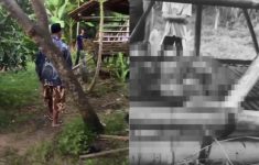 8 Kambing Dipotong Maling dalam Kandang di Tangerang