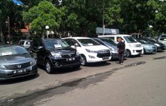 Cara Bedakan BPKB Asli dan Duplikat Sebelum Beli Mobil Bekas, Jangan Sampai Tertipu!