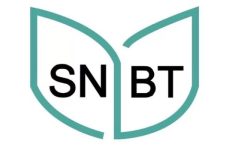 Cek Hasil Pengumuman SNBT 2025
