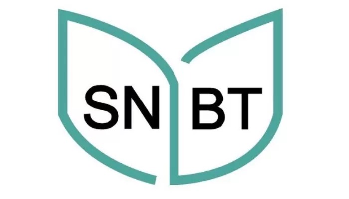 Cek Hasil Pengumuman SNBT 2025