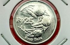Koin Kuno Rp25 Buah Pala