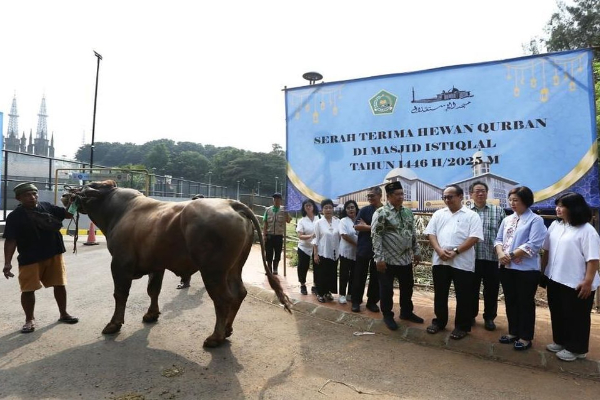Gereja Katedral Sumbang Kurban ke Masjid Istiqlal: 1 Ekor Sapi dan 2 Kambing