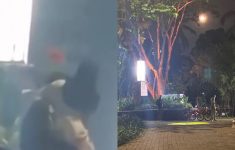 Taman Langsat Jadi Tempat Mesum Viral di Media Sosial, Petugas Keamanan Beri Klarifikasi