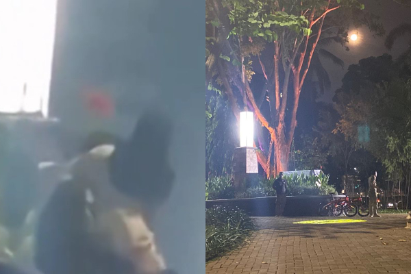 Taman Langsat Jadi Tempat Mesum Viral di Media Sosial, Petugas Keamanan Beri Klarifikasi