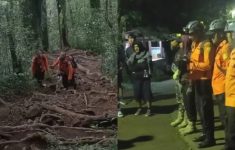 Viral! 4 Pendaki Tersesat di Gunung Batukaru Bali, Begini Kronologinya