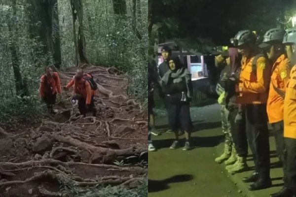 Viral! 4 Pendaki Tersesat di Gunung Batukaru Bali, Begini Kronologinya