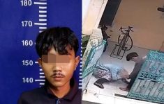 Awal Mula Anak Aniaya Ibu di Bekasi, Pelaku Lempar Bangku Gegara Tak Dipinjami Motor