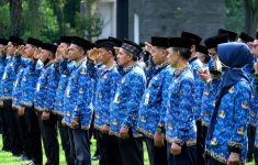 Aturan Baru Pemerintah ASN Bisa Kerja WFA