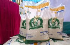 Pencairan Bansos PKH dan BPNT Akhir Juni 2025