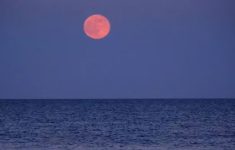 Fakta Fenomena Strawberry Moon Hiasi Langit Indonesia
