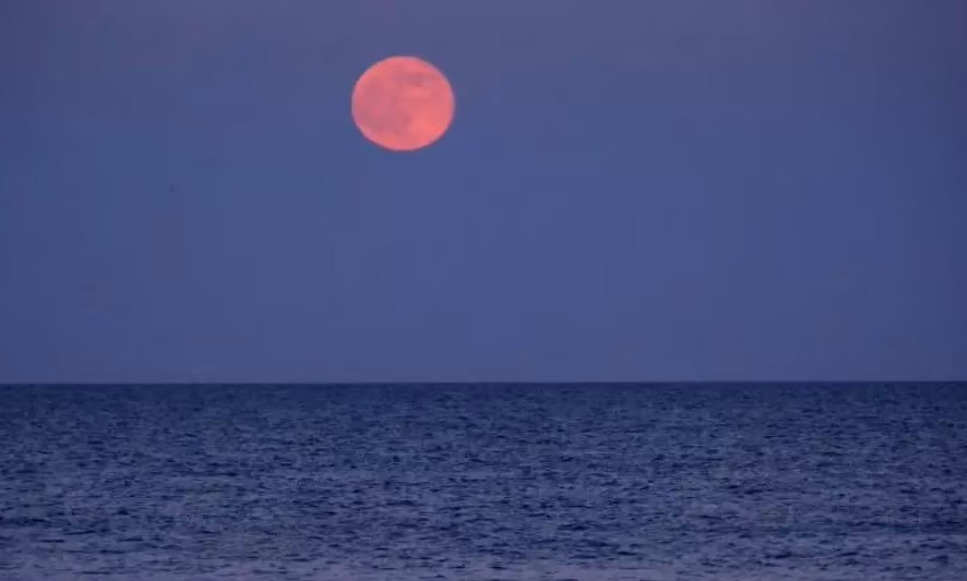 Fakta Fenomena Strawberry Moon Hiasi Langit Indonesia