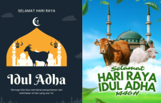 haijakarta 38