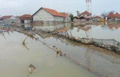Daftar Wilayah yang Berisiko Terdampak Banjir Rob Pesisir Utara Jakarta 18-27 Juli 2025, Cek 12 Lokasinya!