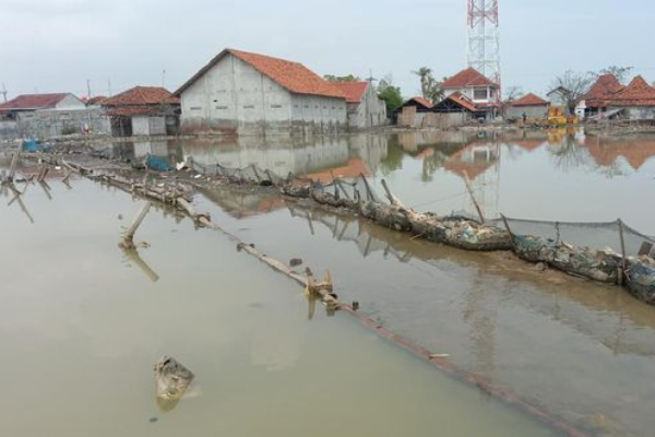 Daftar Wilayah yang Berisiko Terdampak Banjir Rob 18-27 Juli 2025, Cek 12 Lokasinya!