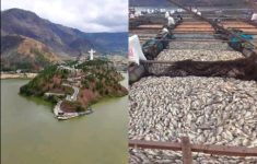 Warna Air Danau Toba Berubah Keruh Seperti Lumpur