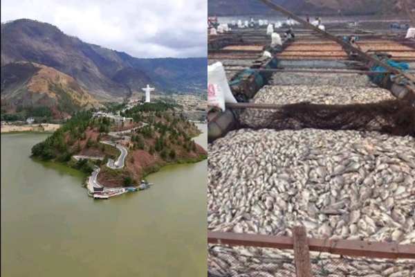 Warna Air Danau Toba Berubah Keruh Seperti Lumpur
