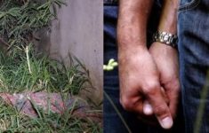 Pemilik Angkringan Ponorogo Tewas Dibunuh Pacar Gay Saat Berhubungan, Jasad Dibuang di Tol