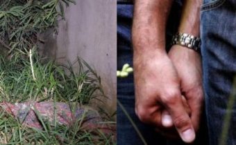 Pemilik Angkringan Ponorogo Tewas Dibunuh Pacar Gay Saat Berhubungan, Jasad Dibuang di Tol