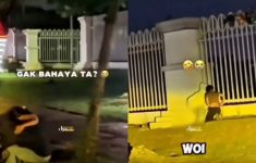 Pasangan Mesum di Area Stadion Pakansari Viral di Medsos, Netizen: Harusnya Polisi Rutin Patroli Malam
