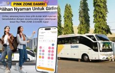 Cara Akses Pink Zone Lewat Aplikasi DAMRI, Lengkap dengan Manfaatnya, Cek!