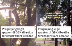 Viral! Suara Desahan di GBK Bikin Geger Pengunjung, Netizen: Lagi Nonton atau Berbuat?