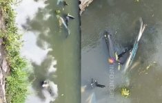 Ditemukan Jasad Pria Mengambang di Saluran Air PIK, Identitas Korban Belum Diketahui